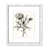 White Framed