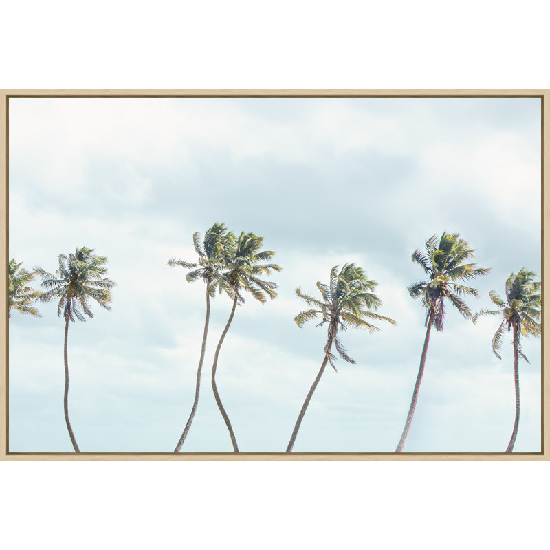 Gust, Brown Floater Framed Canvas, No, 25.5" H x 37.5" W