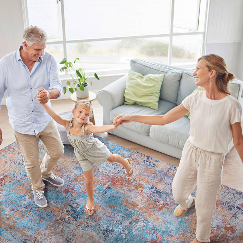 9X12 Area Rug Washable Low-Pile Non-Slip Non-Shedding Foldable Kid Pet Friendly For Living Room Bedroom Kitchen