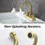 2-handle Bathroom Faucet with Drain Assembly-90958615