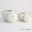 Spicchi Line Bowl W/Lid-Matte White-Lg-1754589974