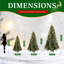 Christmas Tree-1584417666