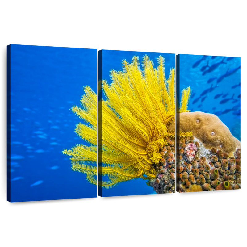 Étoile de mer à plumes jaunes Brampt, H 42 po x l 65 po
