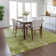  Machine Washable Indoor/Outdoor Chayden ACN1062 Rug