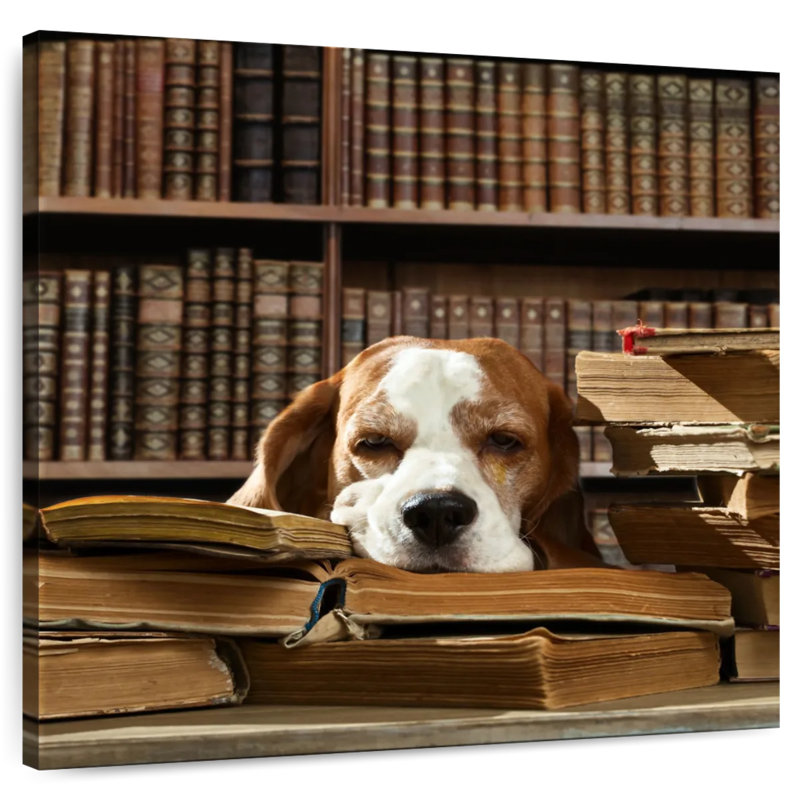 Brampt Dog And Books, 39" H x 39" W