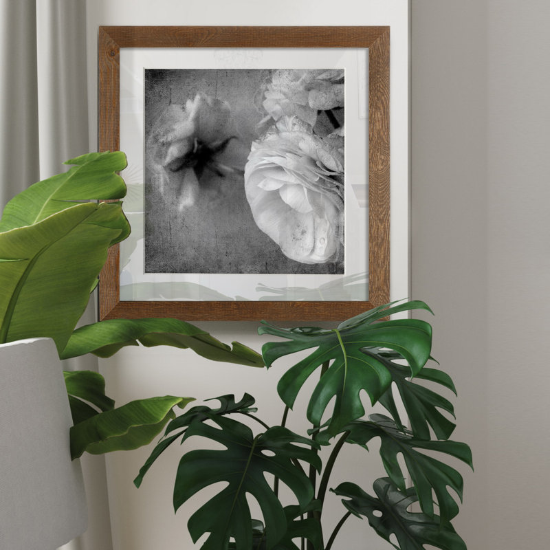 Renoncule foncé II - cadre photo, H 36 po x l 36 po x P 1 po, Toile encadrée érable, Blanc