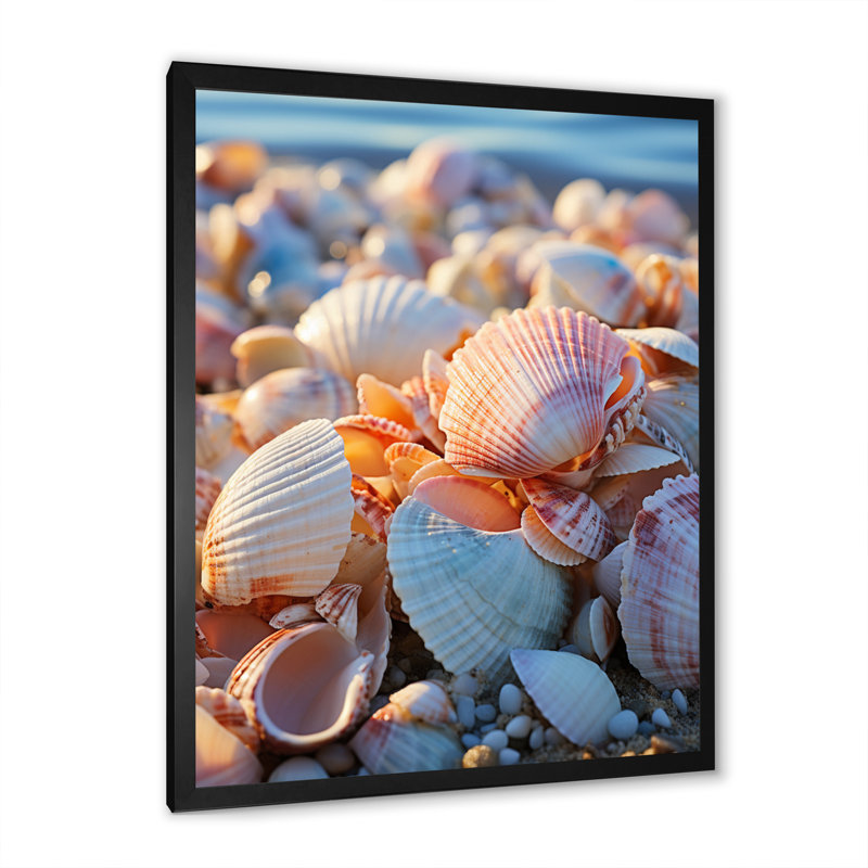«Beach Photo Sunlit Shells I», reproduction sur toile, Cadre photo noir, L 16 po x H 32 po