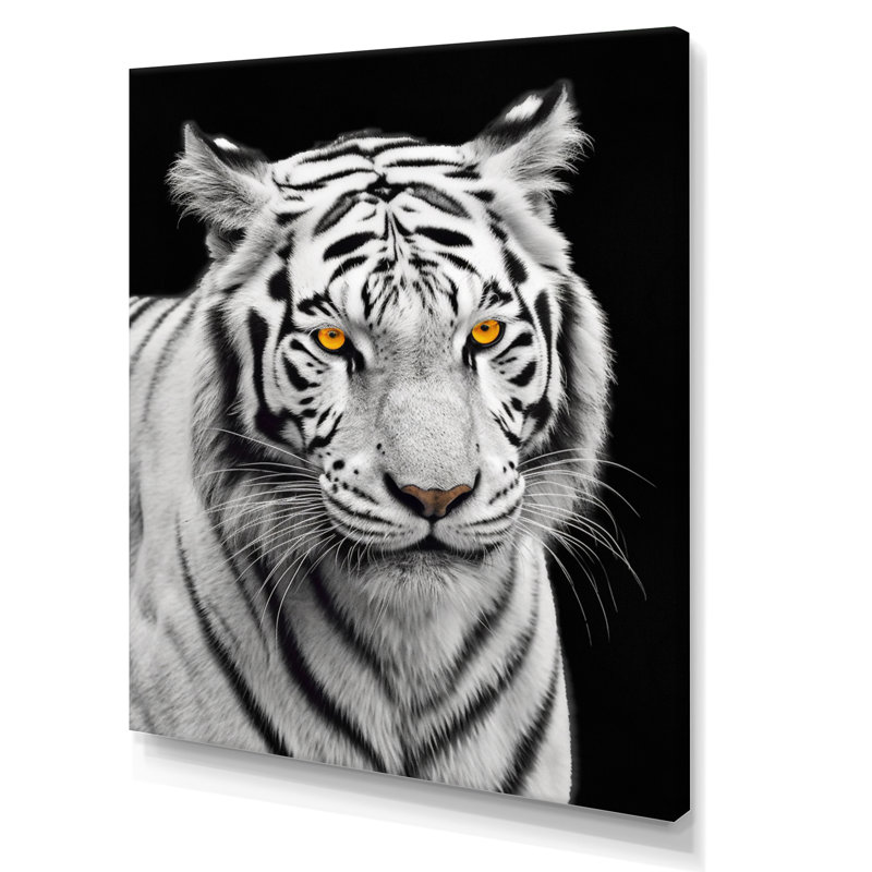 Tigre blanc féroce IV - reproduction sur toile, Toile tendue, H 40 po x l 30 po x P 1,5 po