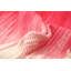 Tapis de zone rose en laine handwoven à tissage plat Saima