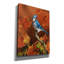 "Couleurs d'automne" par William Vanderdasson-101511416