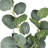 Ensemble de 4 branches d'eucalyptus artificiel