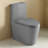 MEDUNJESS 1.1/1.6 GPF Dual-Flush One Piece Toilet, Water-Saving Elongated Comfort Height Floor Mounted-116193551
