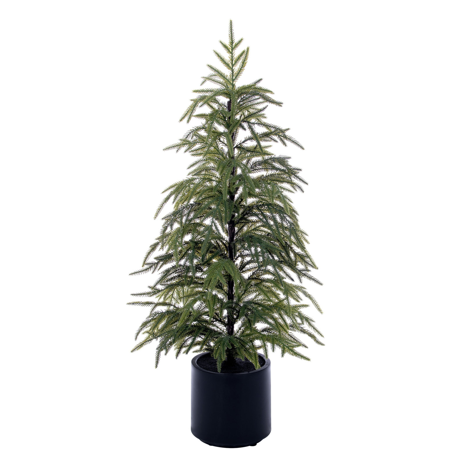 Pine Christmas Tree, 3