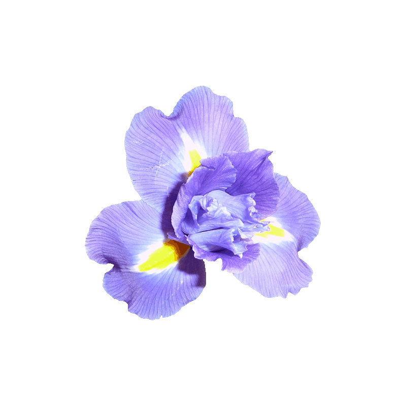 Adhésif décoratif Goudeau Iris, 35,5 po x 36 po
