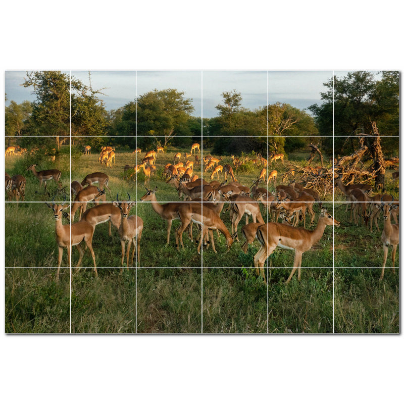Deer Photo 8'' x 8'' Satin Ceramic Decorative Mural