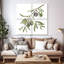 Branche d'olive fraîche Harnek I-109125029