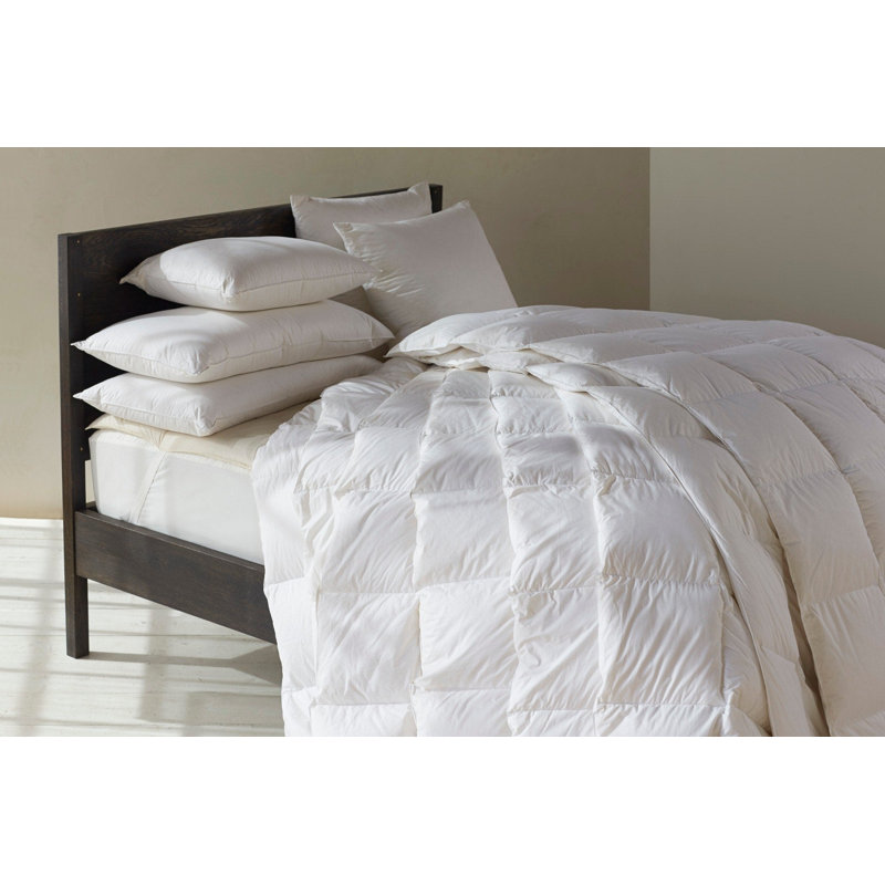 Pillow Insert, 22"H x 22"W, Square