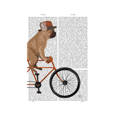 French Bulldog On Bicycle, Print BG by Fab Funky - Wrapped Canvas Print