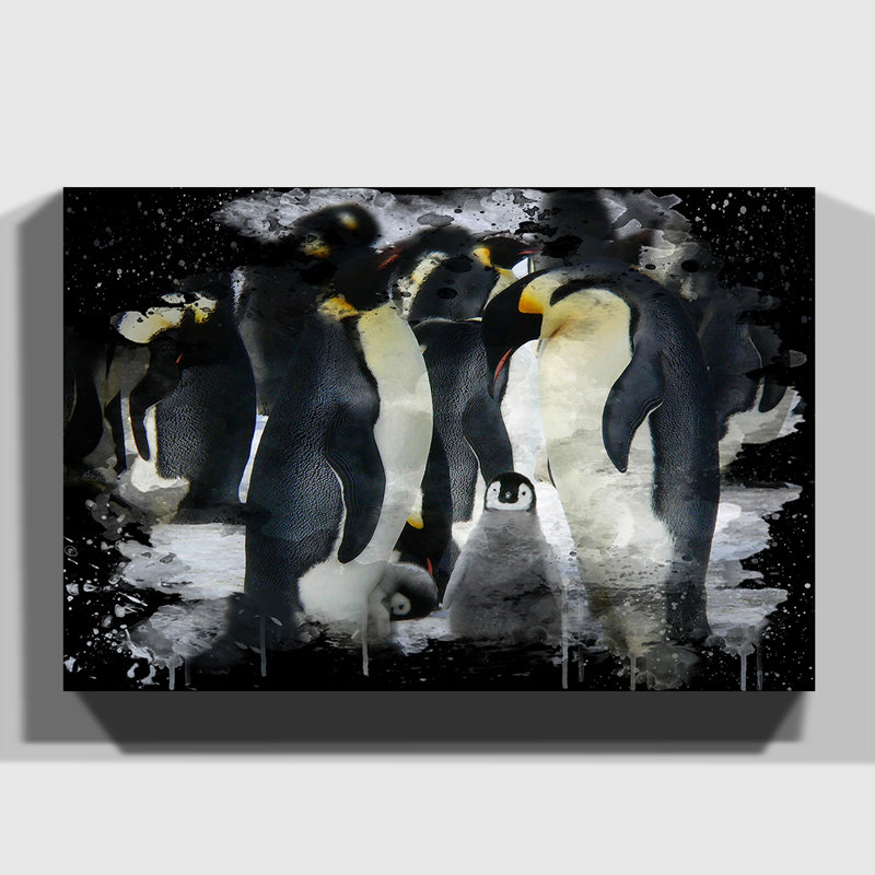 Emperor Penguins - Wrapped Canvas, 35cm H x 50cm W