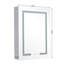 Azpeitia 45mm W 60mm H Surface Frameless Medicine Cabinet Mirror 2 Adjustable