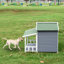 Niche pour chien en bois de pin avec peinture vieillie et durable