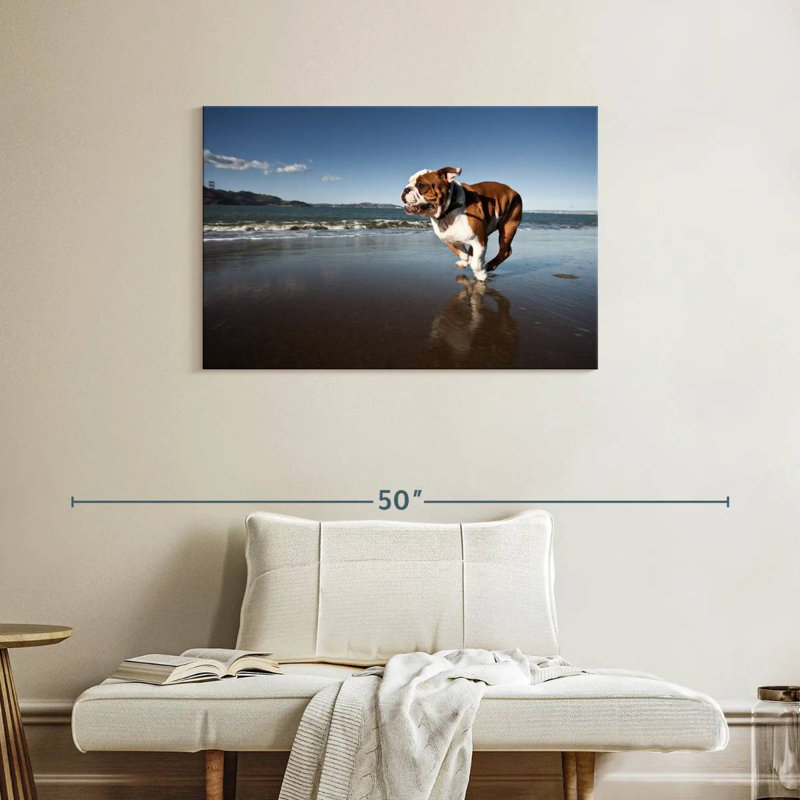 Brampt Dog Beach Run, 24" H x 36" W