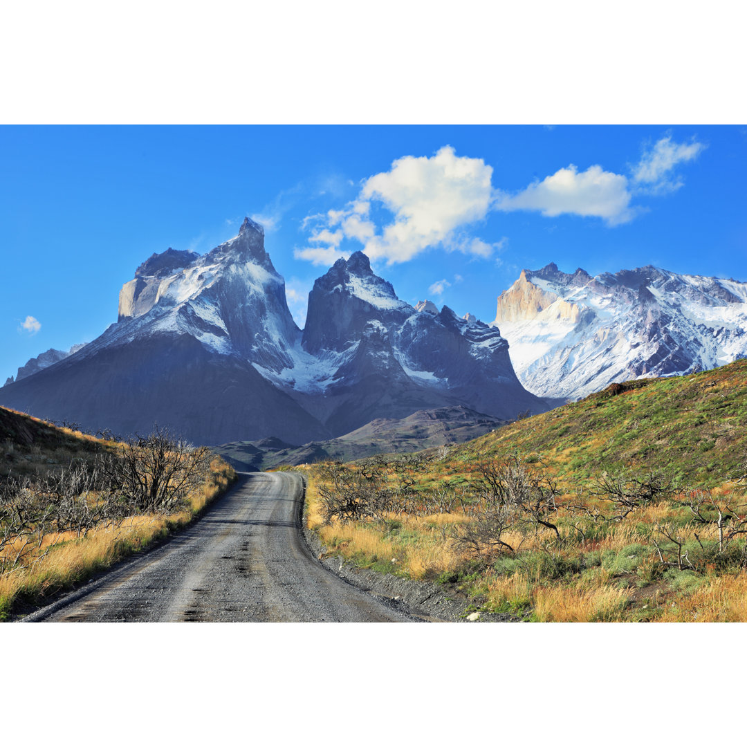 Dreamland Patagonia by Kavram - Wrapped Canvas Print