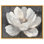 Art Remedy, fleurs en sourdine sur toile, Blossom of the Void