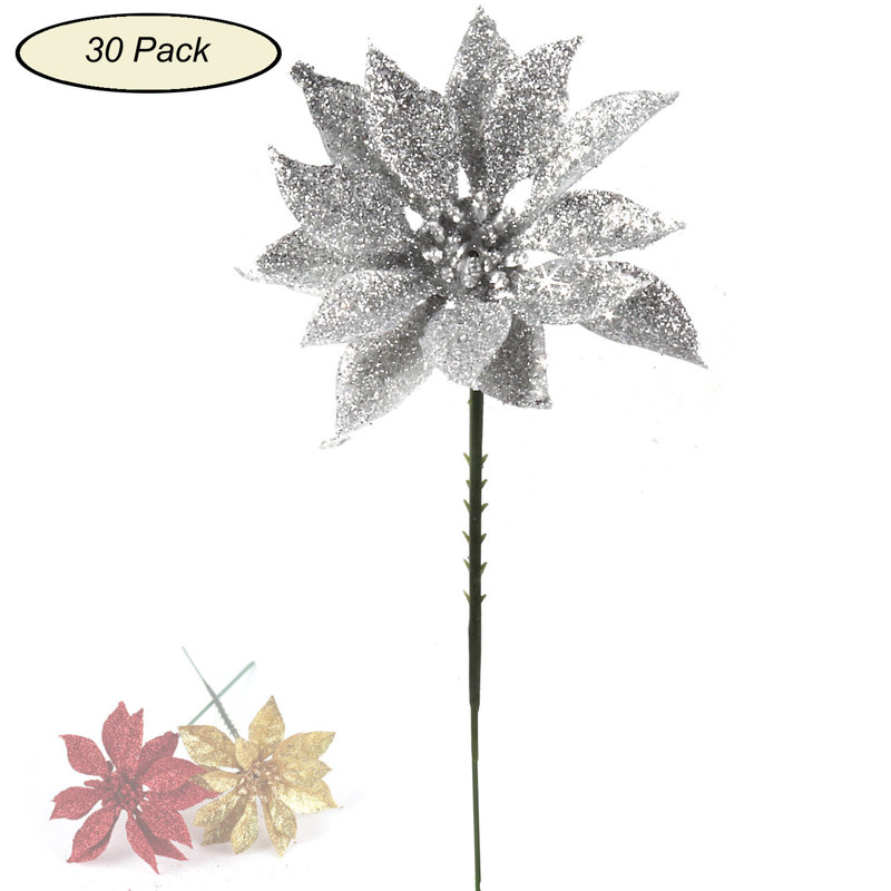 Picksettia de Noël scintillant