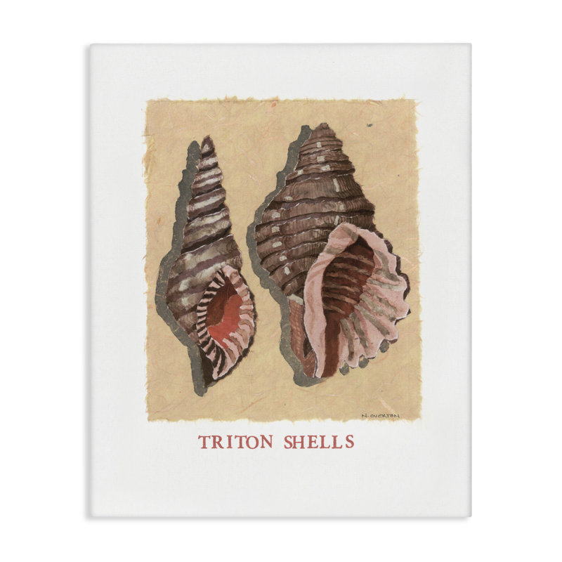 Paire de coquillages Triton, conception de Nancy Overton, 20" H x 16" W