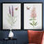 «Wildflower Botanical I», ensemble de 2 reproductions d'art-808463899-808463896-808463877