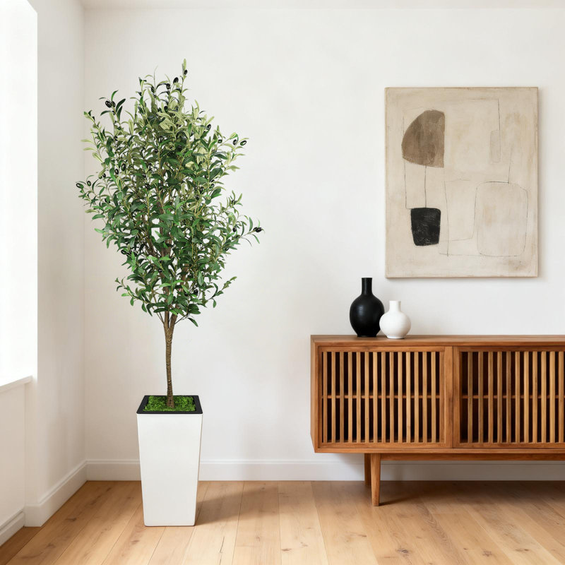 Plant, 182.9cm H x 23cm W x 100cm D