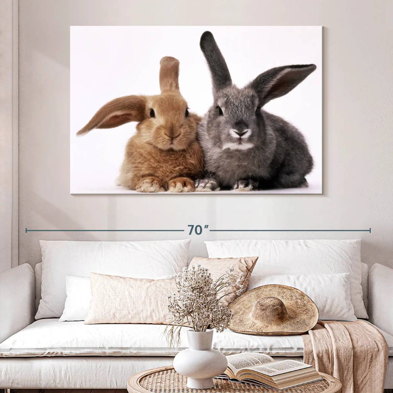 Lapins bruns et gris, H 34 po x l 51 po