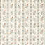 Papaver Stripe-598514015