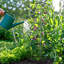Treillis de pois vert et haricots verts pour le jardin - Paquet de 2