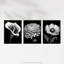 Elegant Striking Poppy Chrysanthemum Calla Lily Floral 3 Piece Wall Art-2031411779