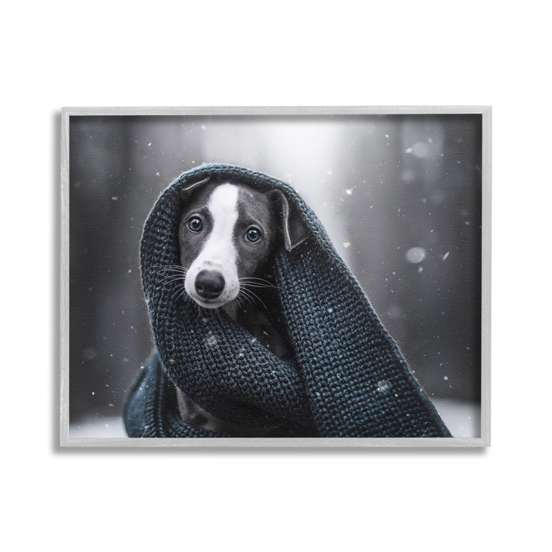 «Dog with Winter Winter», art de la giclée encadrée par Natalie Grosse, Estampe numérique Farmhouse, H 24 po x l 30 po