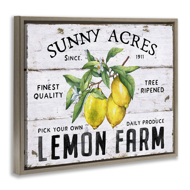  «Sunny Acres Lemon Farm», art mural encadré sur toile flottante par Creatif Belle, Cadre flottant orme Montalcino