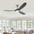 Christela Netrapal Ceiling Fan with LED Lights-119159337