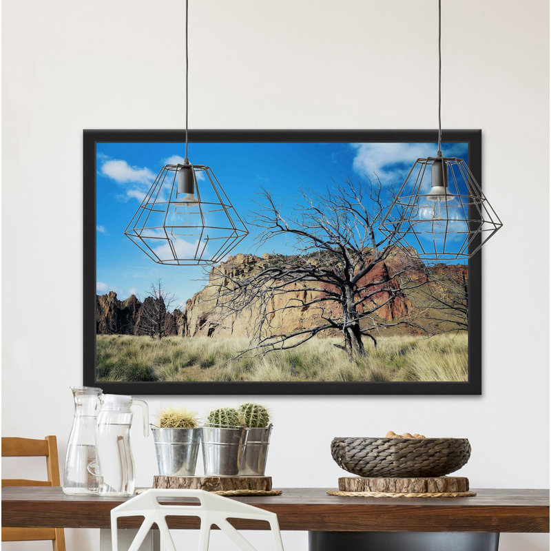 Sylvia Cook - Single Picture Frame Print, 41cm H x 61cm W