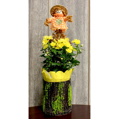 6" Harvest Scarecrow on 9.5" Pick