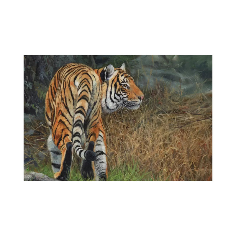 Indo Chinese Tiger by David Stribbling - Gallery-Wrapped Canvas Giclée on Canvas, 30.48 cm H x 45.72 cm W, Canvas
