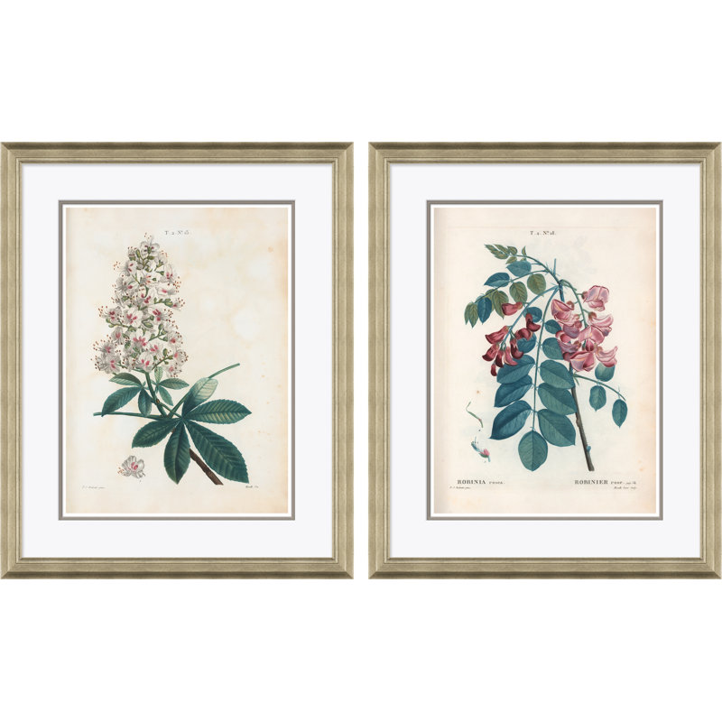 «Aesculus Hippocastorum & Bristly Locust» par Paul Cezanne - cadre photo, impression sur papier