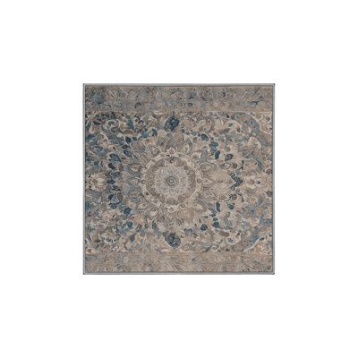 Tapis gris soyeux et moelleux