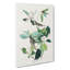 Warbling Flycatcher Birds by John Audubon - Wrapped Canvas-55370041