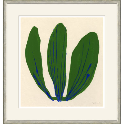 Cabbage Giclee Print by Susan Hable