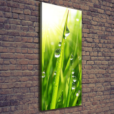 Blades Of Grass - Wrapped Canvas Print