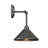 Estrela 1-Light Dimmable Galvanized Metal Barn Light