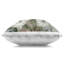 Coussin décoratif New Blooms Tulip