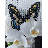 "Butterflies" 117CS Counted Cross-Stitch Kit